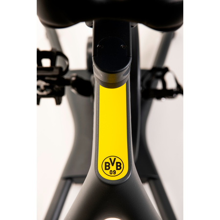 Rower spinningowy KETTLER HOI FRAME SPEED